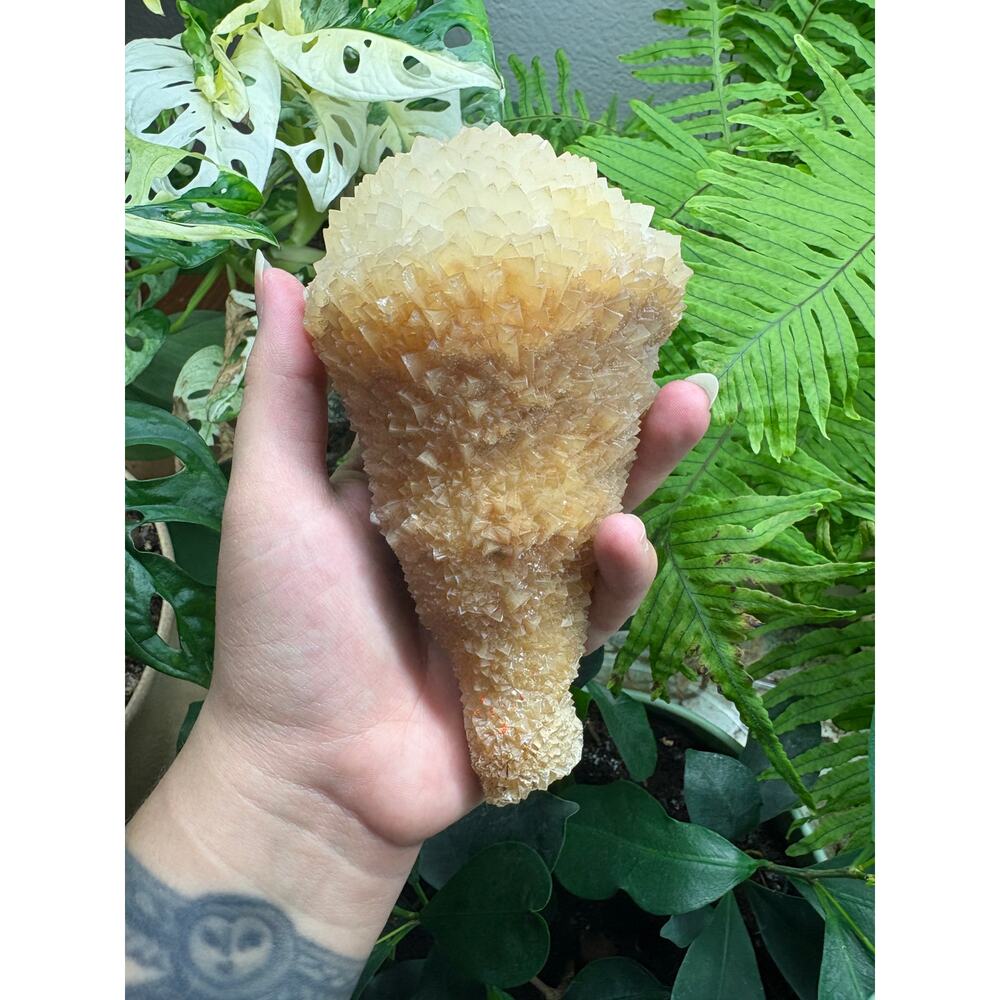 Cave Calcite “Snow Cone” Stalactite Specimen – China